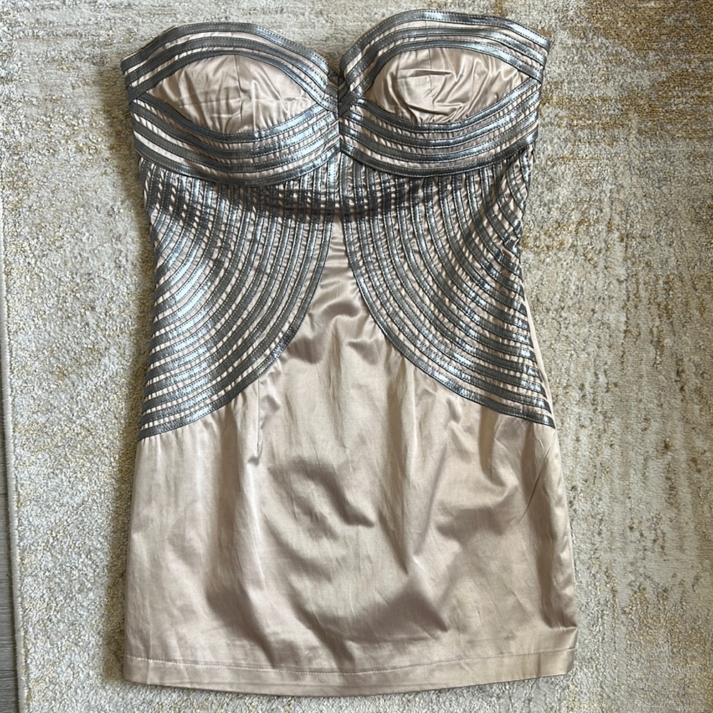 Strapless Metallic Silver and Beige Dress